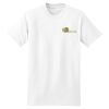 Men's Cotton T Shirt Thumbnail